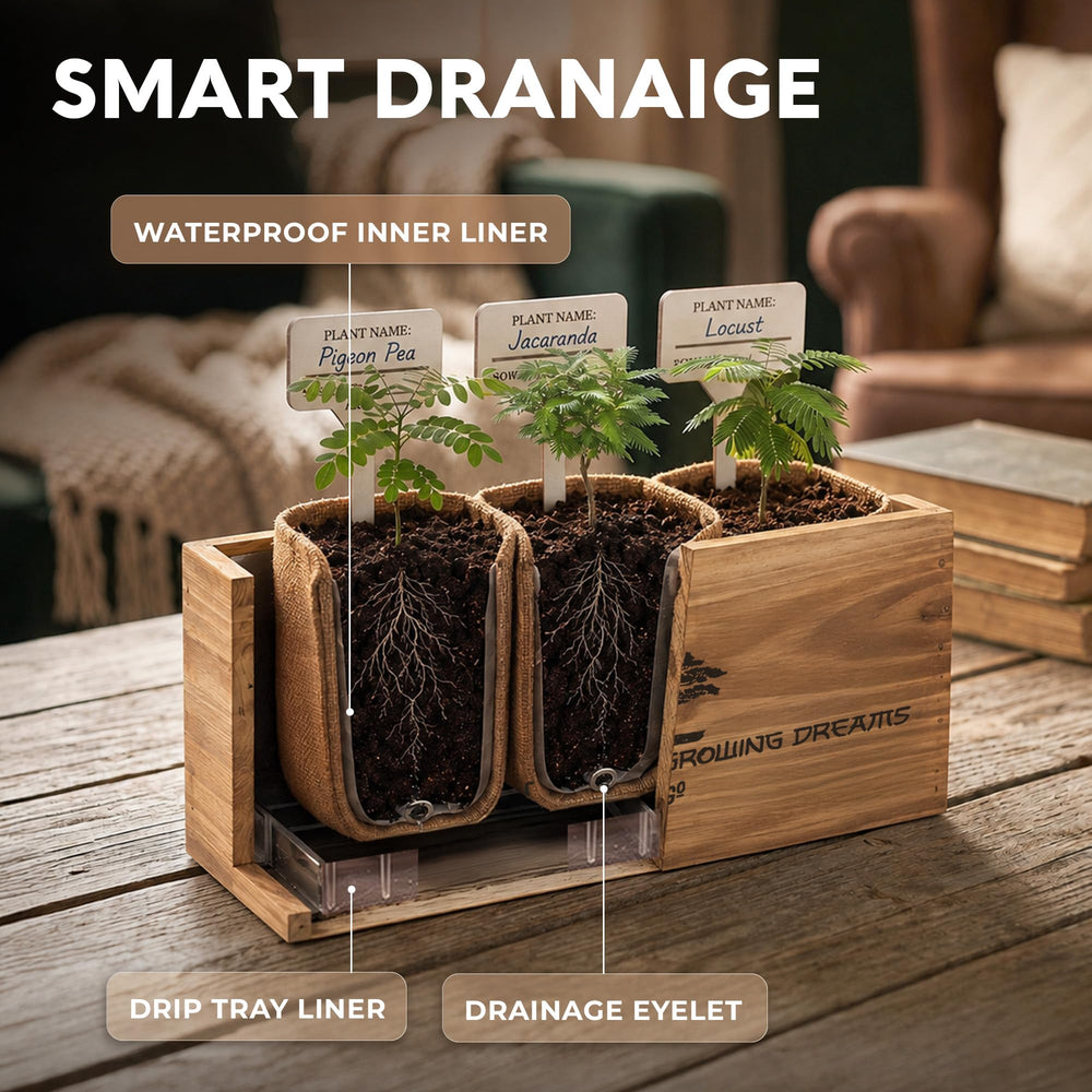 Step-by-step planting instructions for AVERGO Bonsai Kit