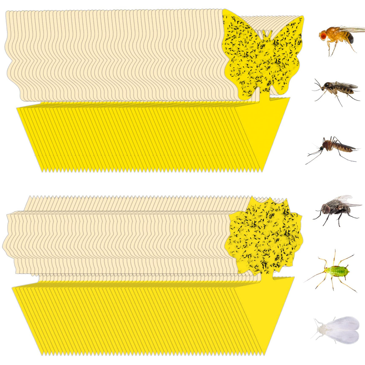 Stingmon 120 Pack Yellow Sticky Fungus Gnat Traps front view
