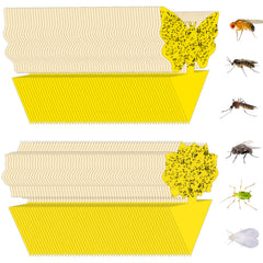 Stingmon 120 Pack Yellow Sticky Fungus Gnat Traps front view