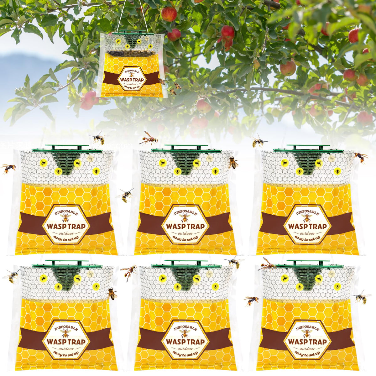 Stingmon 6 Pack Disposable Wasp Trap front view