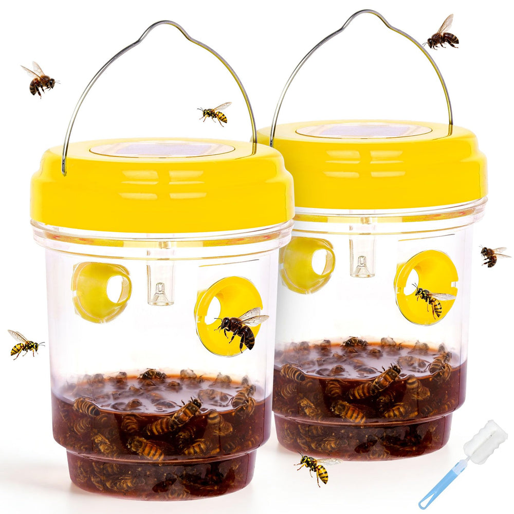 Stingmon Solar Wasp Trap front view in lemon yellow