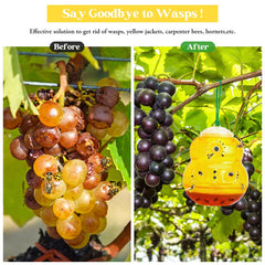 Stingmon Wasp Trap installed in a garden setting