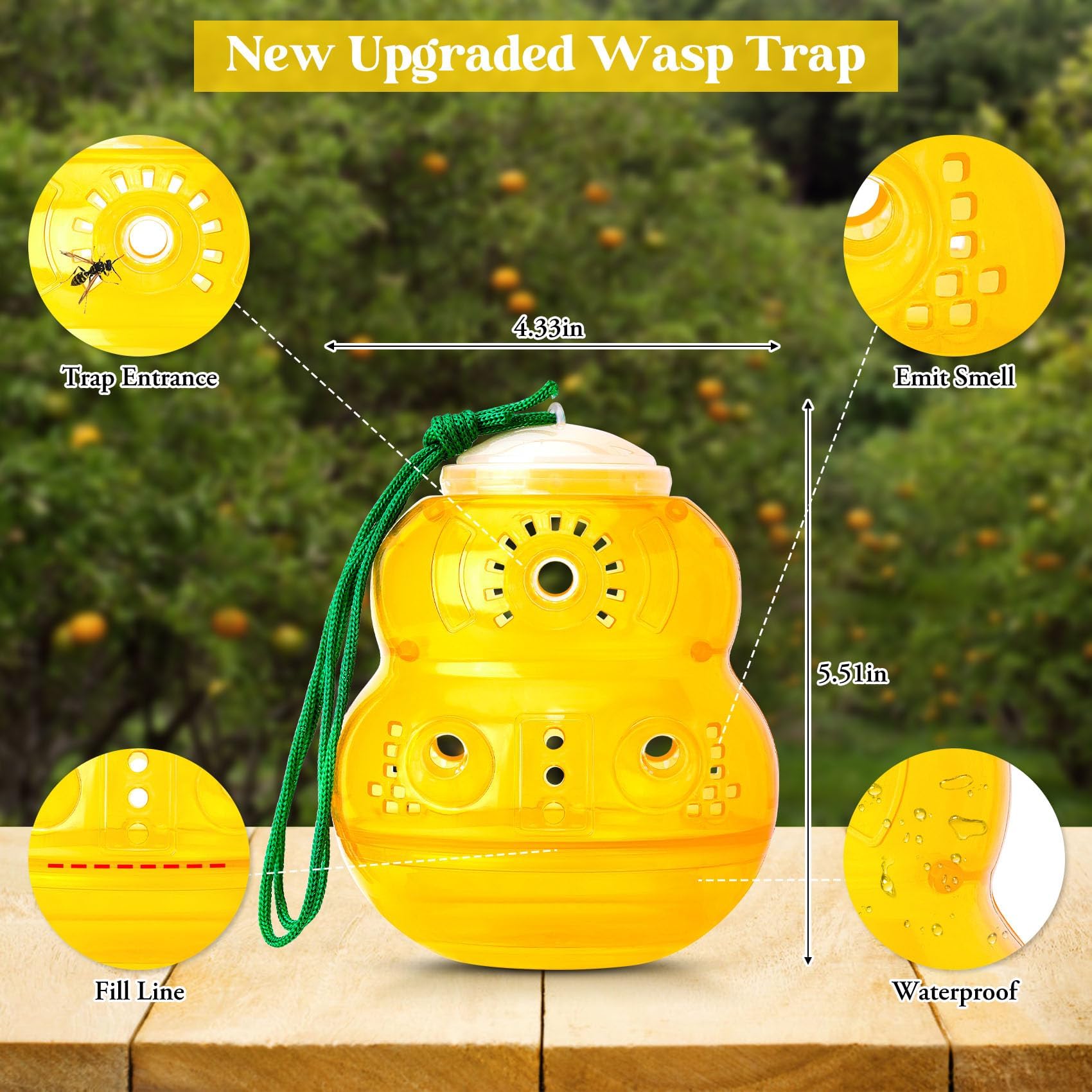 Stingmon Wasp Trap with bait inside showing one-way exit