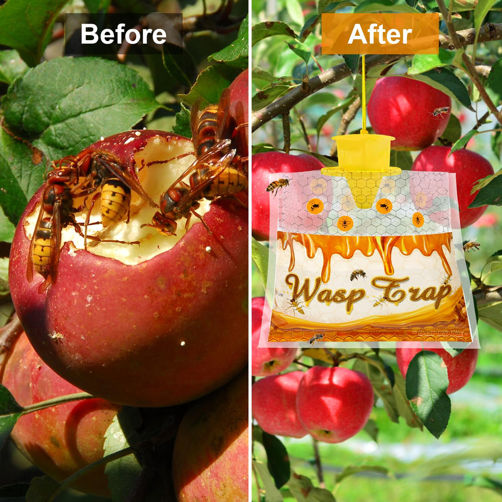 Stingmon wasp traps displayed in outdoor setting