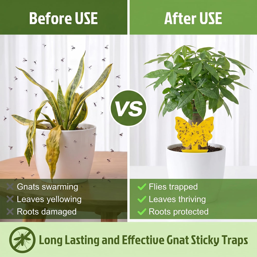 Stingmon Yellow Sticky Fruit Fly Trap displayed in garden setting