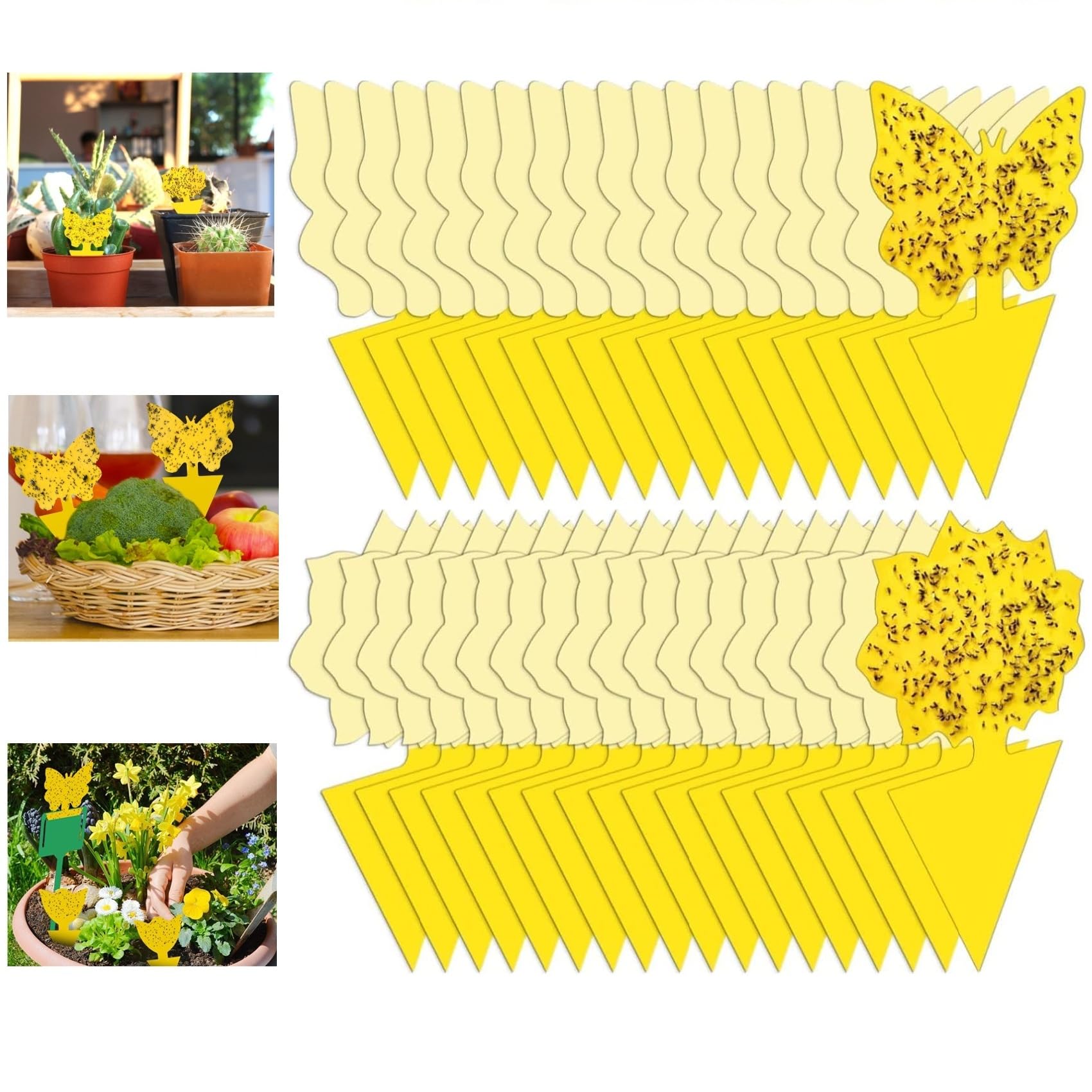 Stingmon Yellow Sticky Fruit Fly Trap pack of 54 with butterfly support sticks