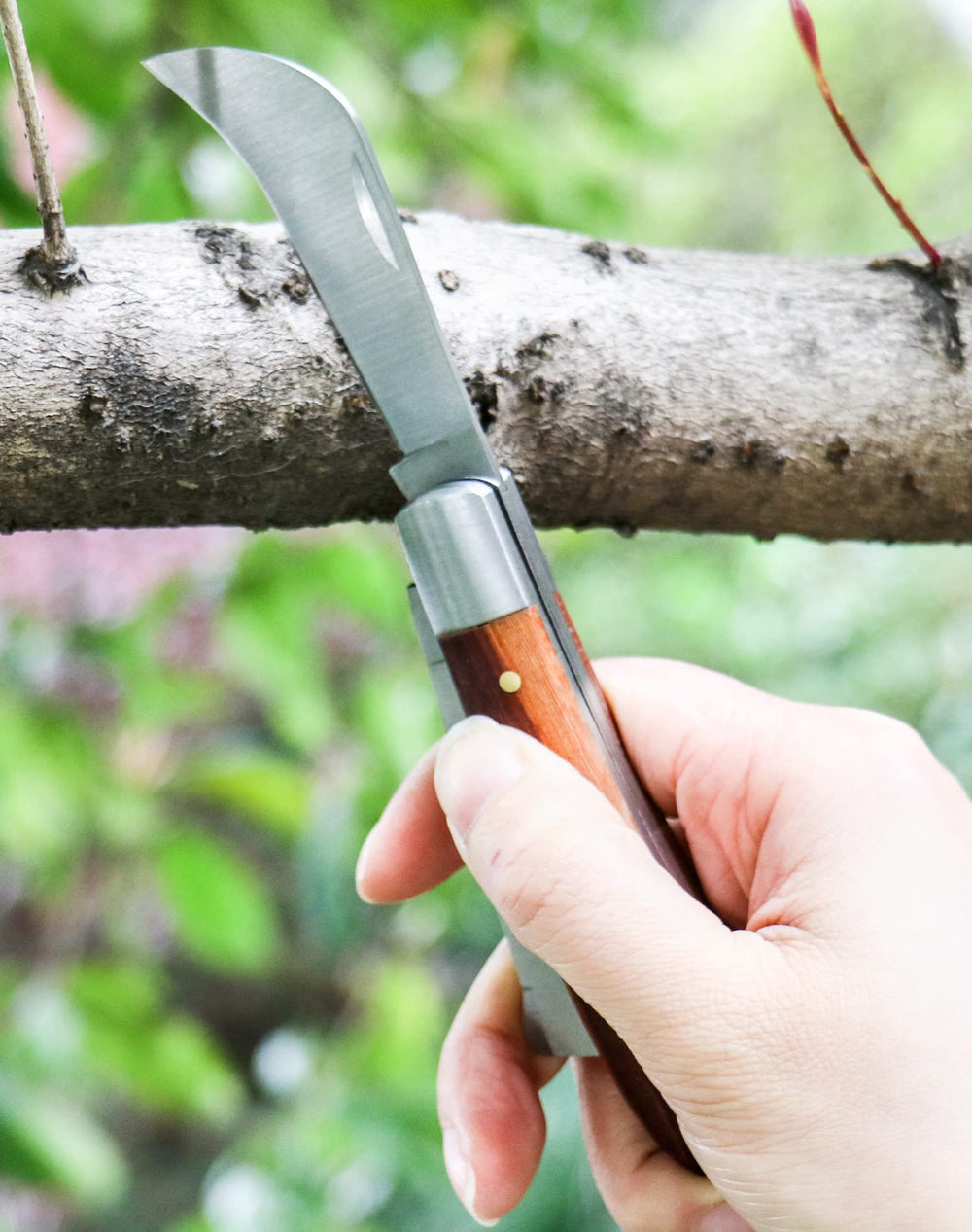 Straight blade of QWORK Grafting Cutter for easy wood cutting