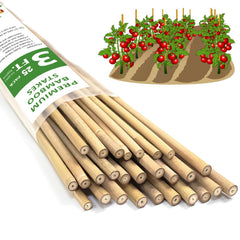 Stroller Bamboo Plant Stakes 3 FT natural bamboo front view