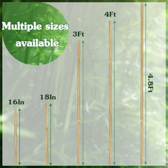 Stroller bamboo stake showing thick-walled design for durability