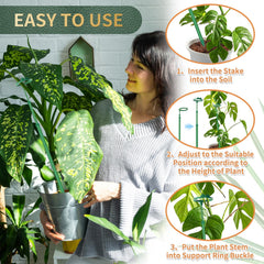 Stroller plant stake supporting a monstera plant