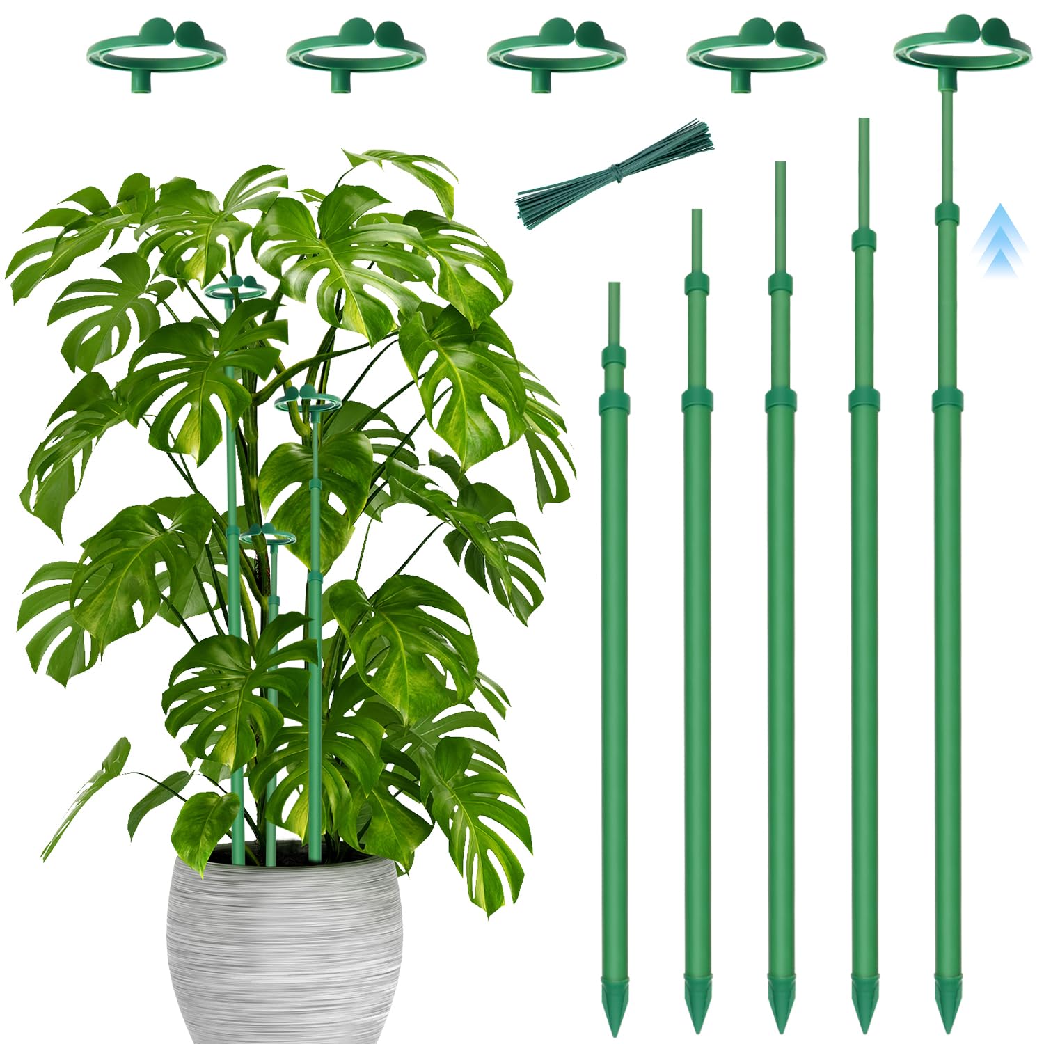 Stroller Telescoping Plant Stakes in green, 42.3 inches