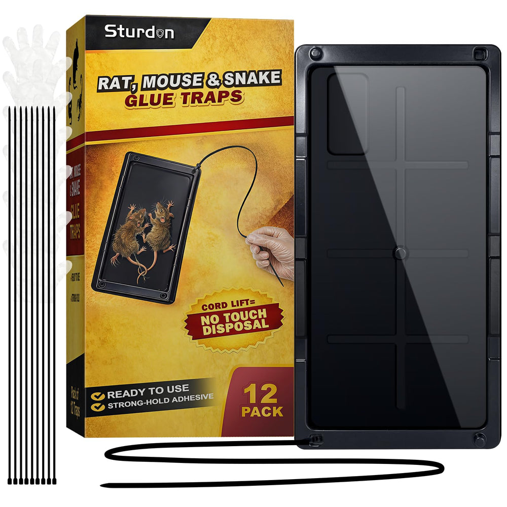 Sturdon Large Rat Glue Trap front view with black design