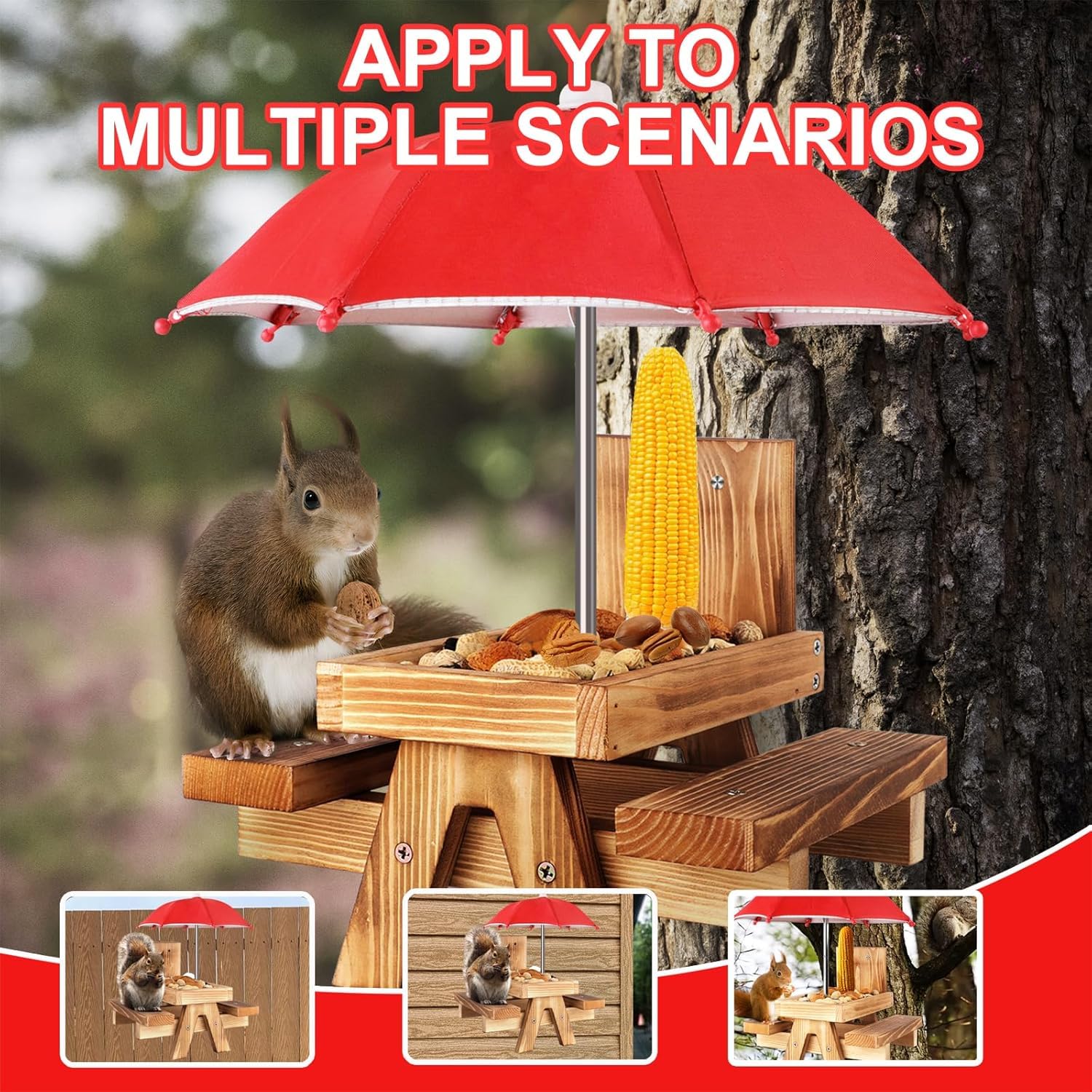 Sturdy frame of Gnodry Squirrel Feeder showing wooden backboard