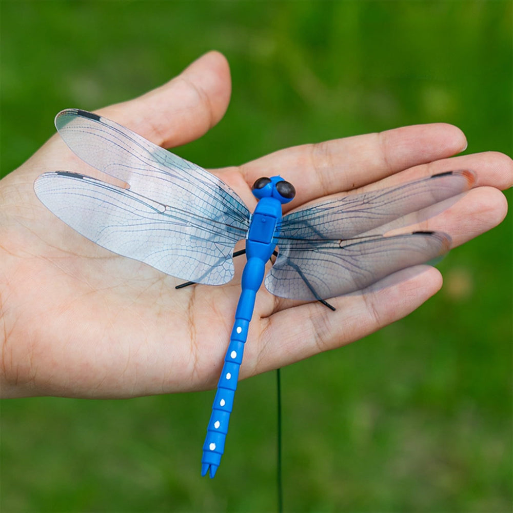 Sturdy packaging box for dragonfly clips
