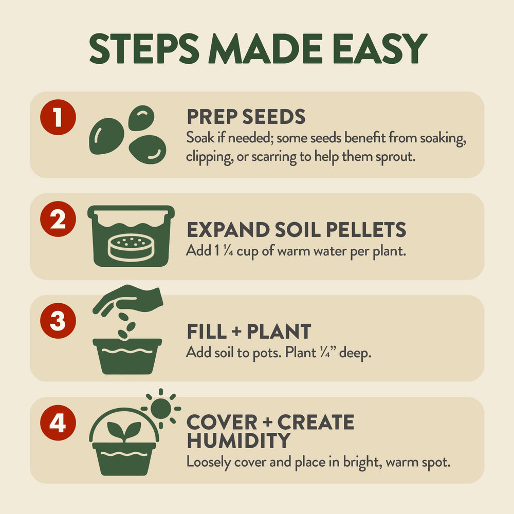 Sturdy pots with drainage for bonsai trees