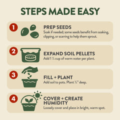 Sturdy pots with drainage for bonsai trees