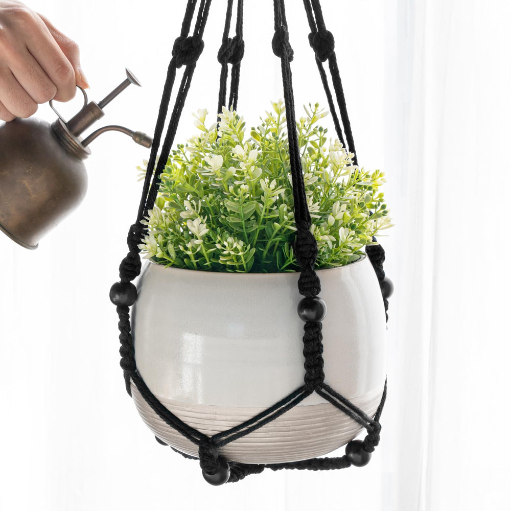 Stylish black macrame plant hanger in a cozy living room