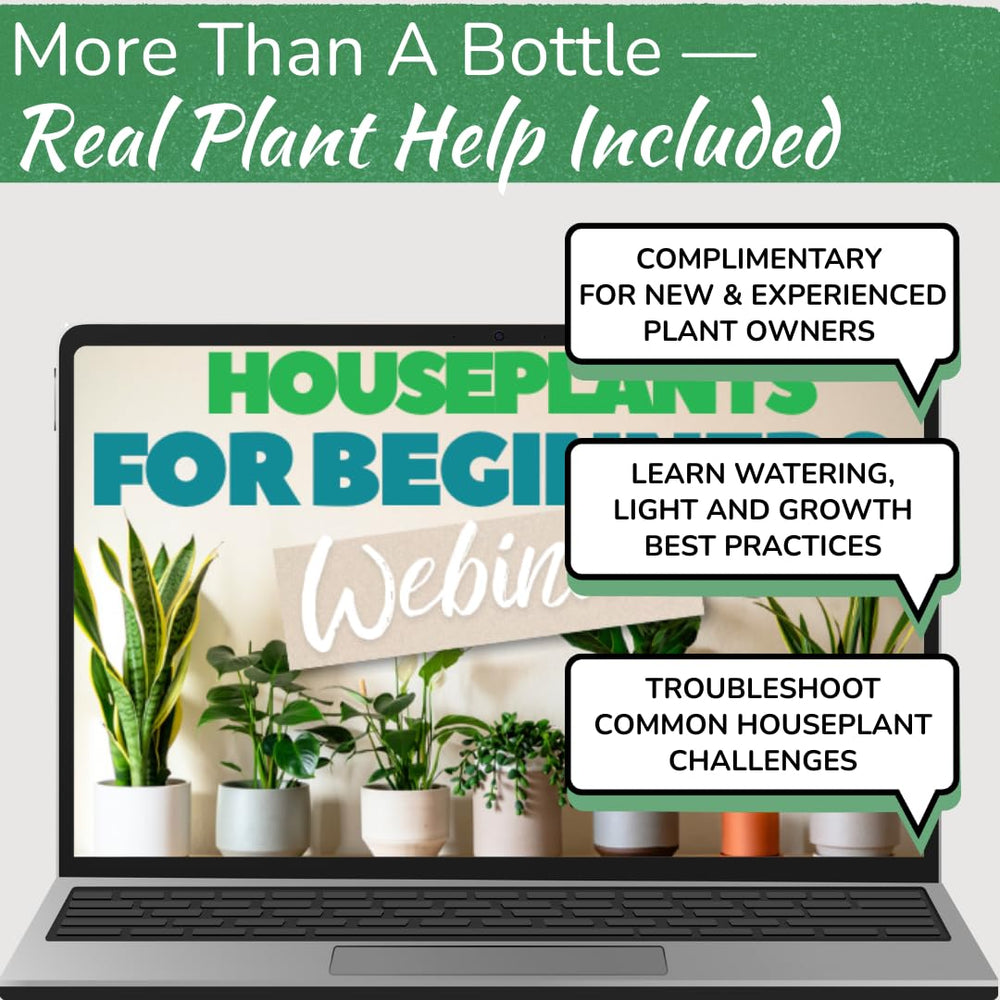 Stylish display of the Indoor Plant Food bottle among houseplants