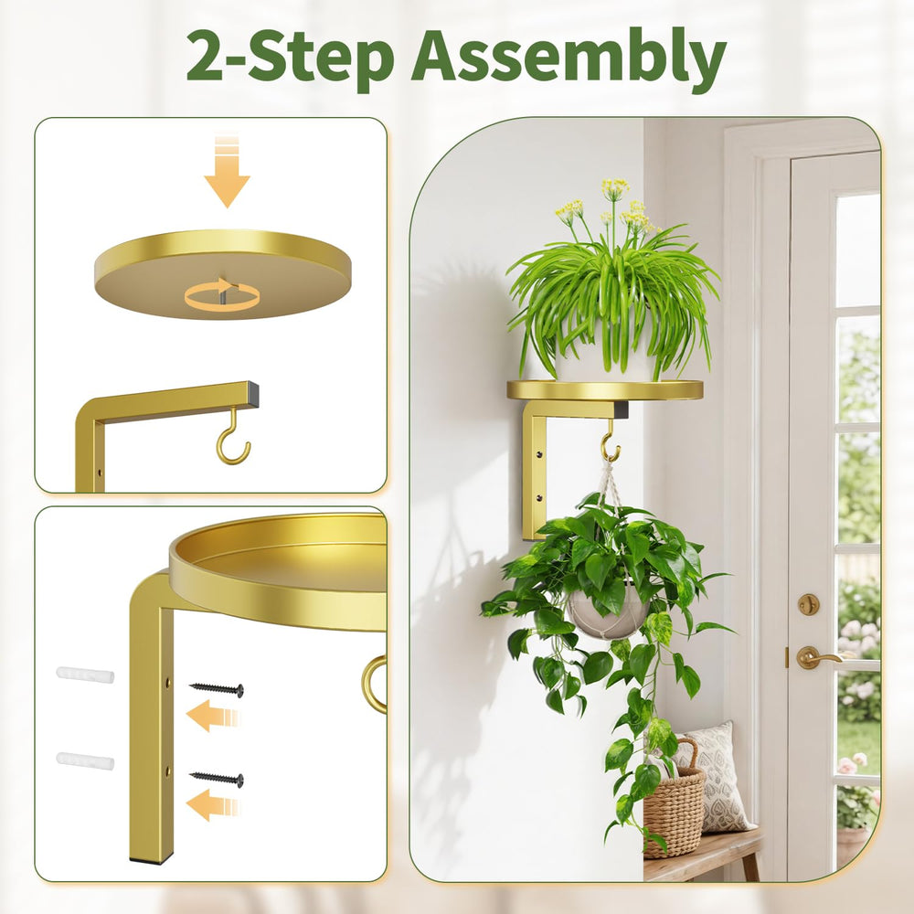 Stylish interior with LASZOLA plant hangers