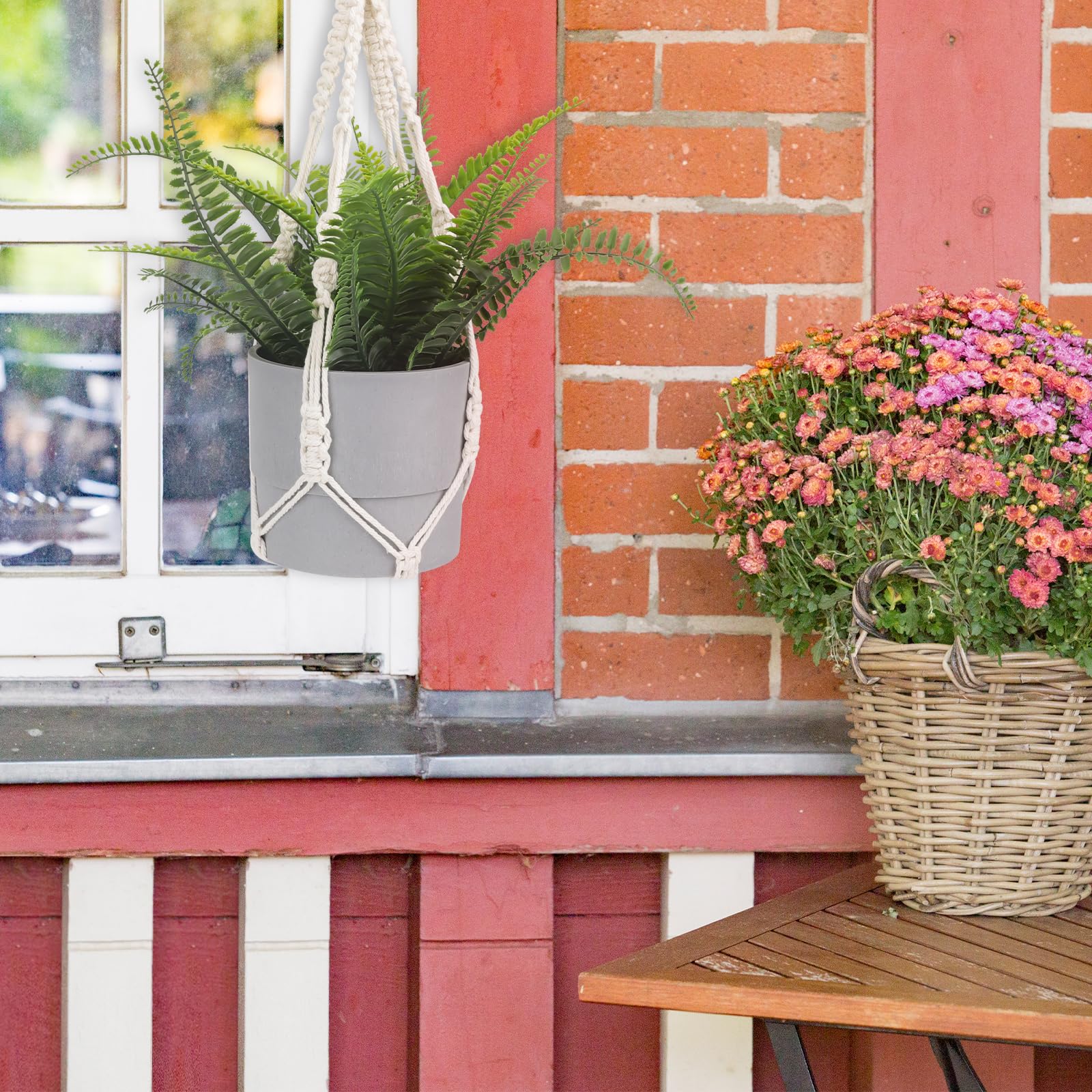 Stylish living room featuring Sliverdew plant hangers