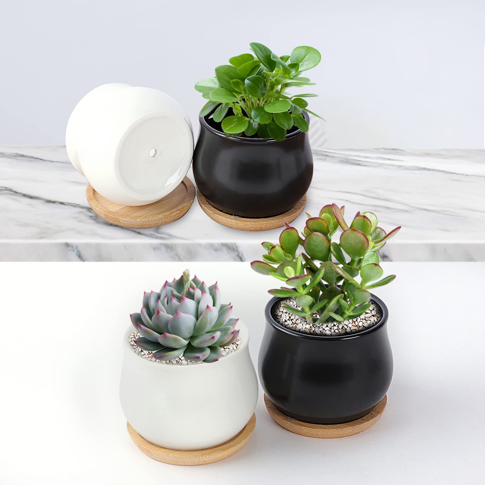 Stylish SHECIPIN succulent pots on a balcony
