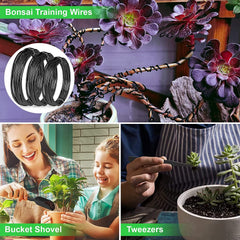 Succulent tools included in LQTTEK Bonsai Tools Kit
