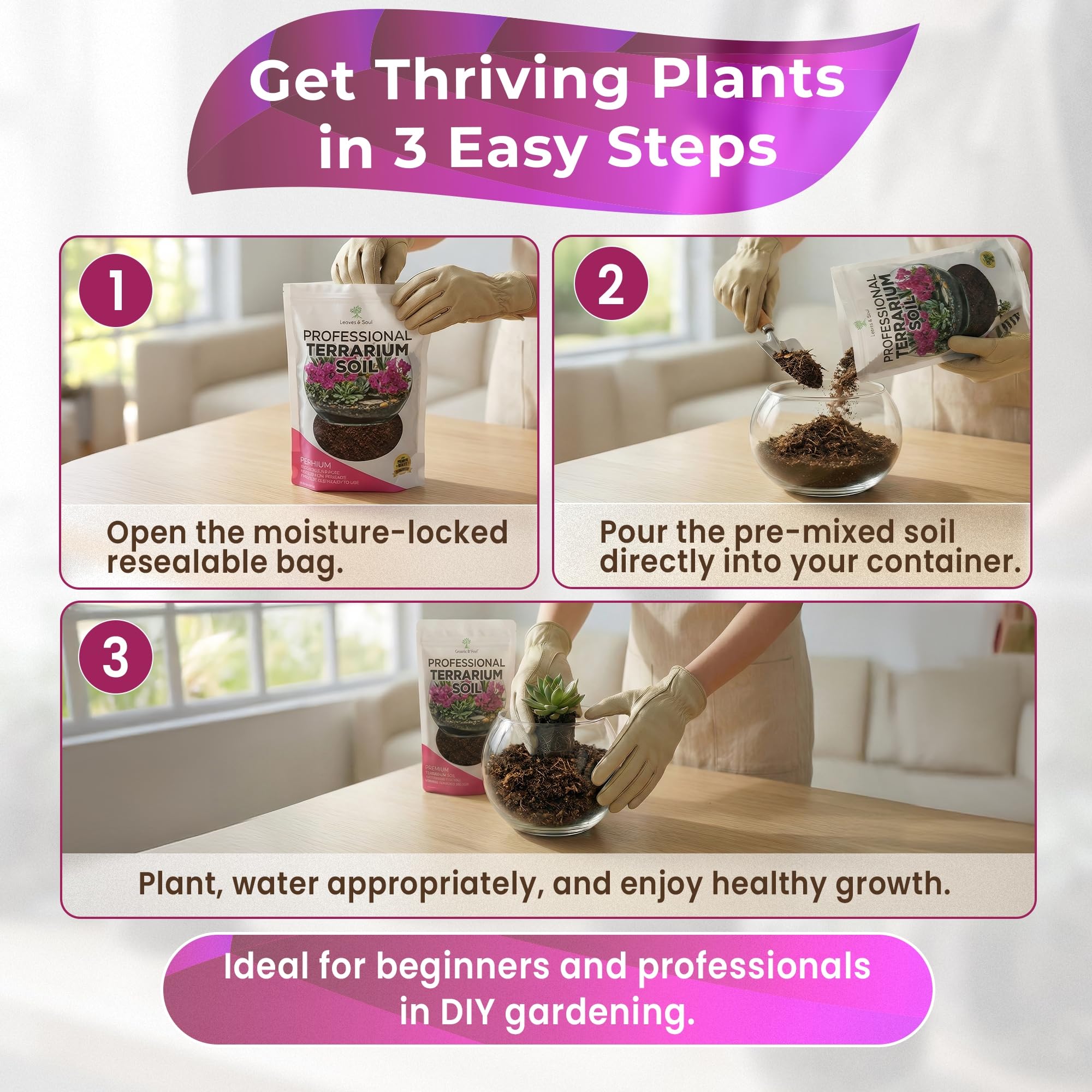 Succulents planted in Leaves and Soul terrarium soil