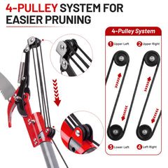 Suchtale pole tree pruner in use for high branch trimming