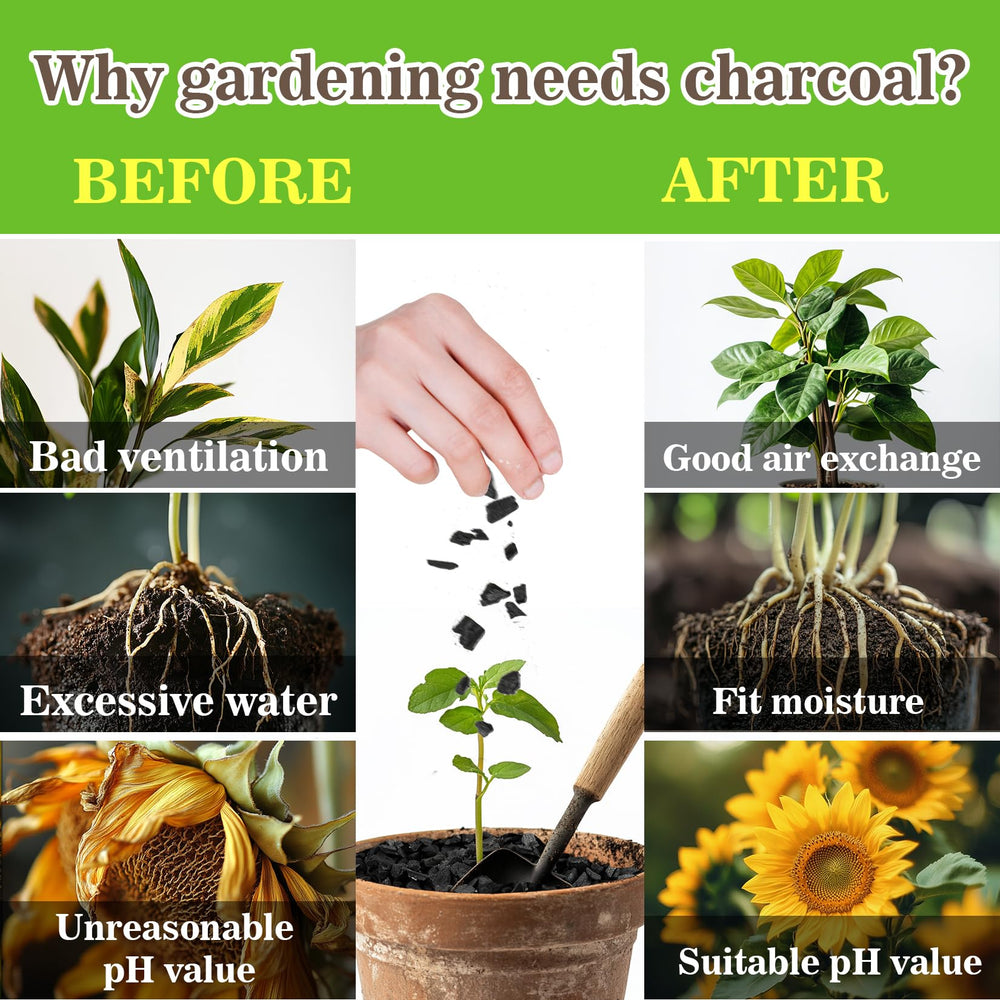 Sukh Horticultural Charcoal 1Qt product details and instructions