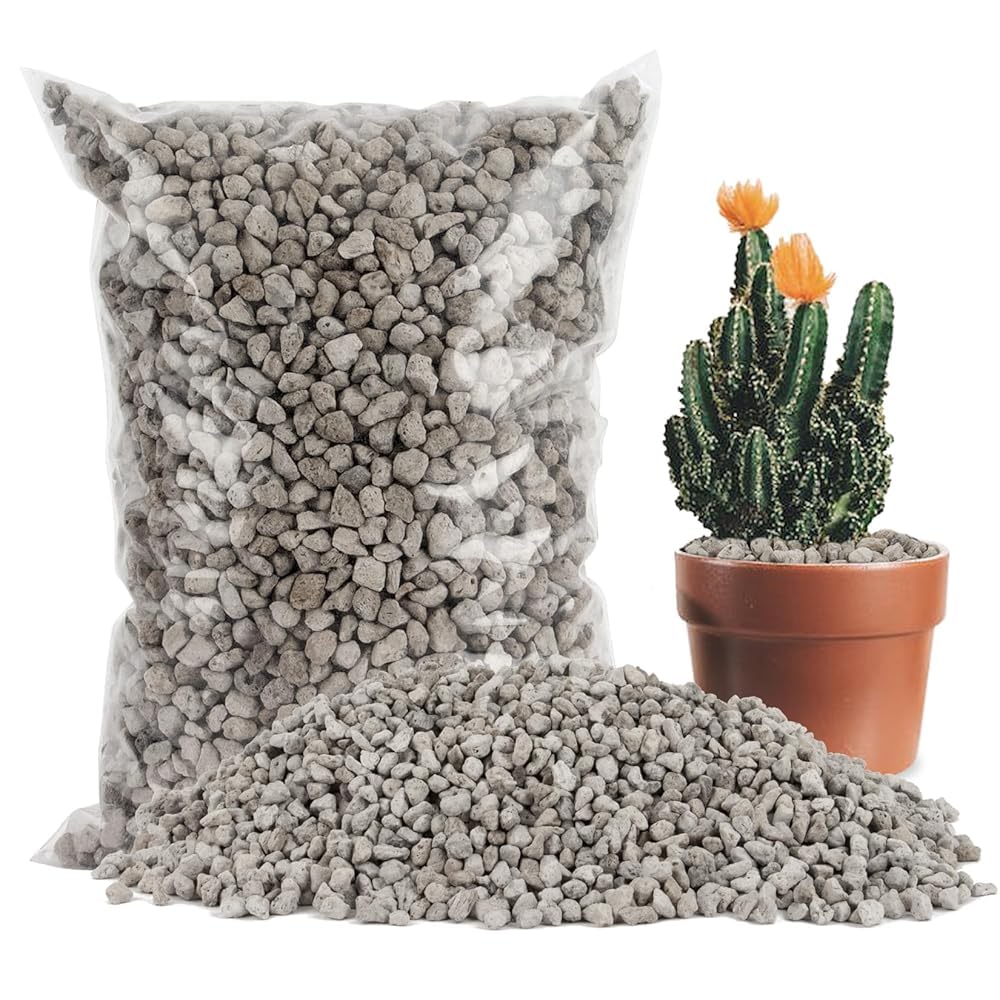 Sukh Horticultural Pumice 900g front packaging view