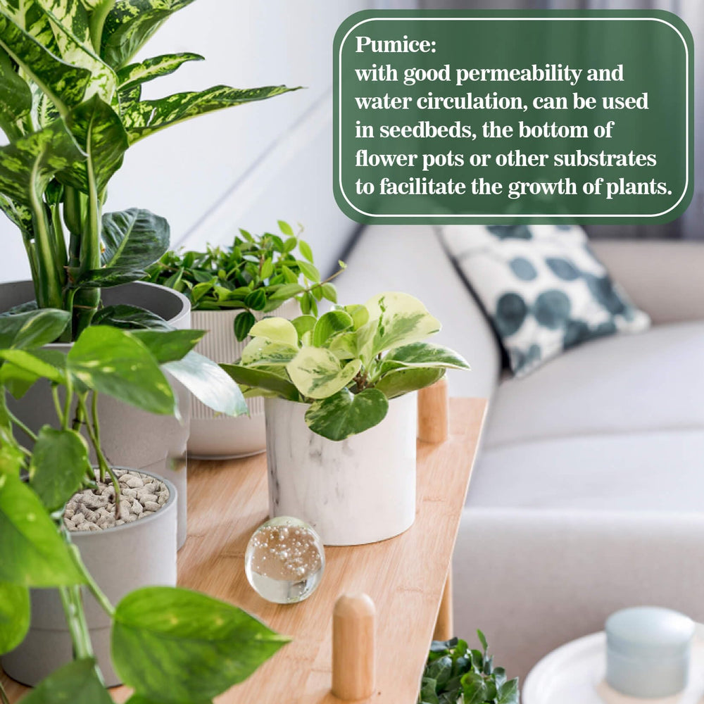 Sukh Horticultural Pumice 900g in a decorative pot