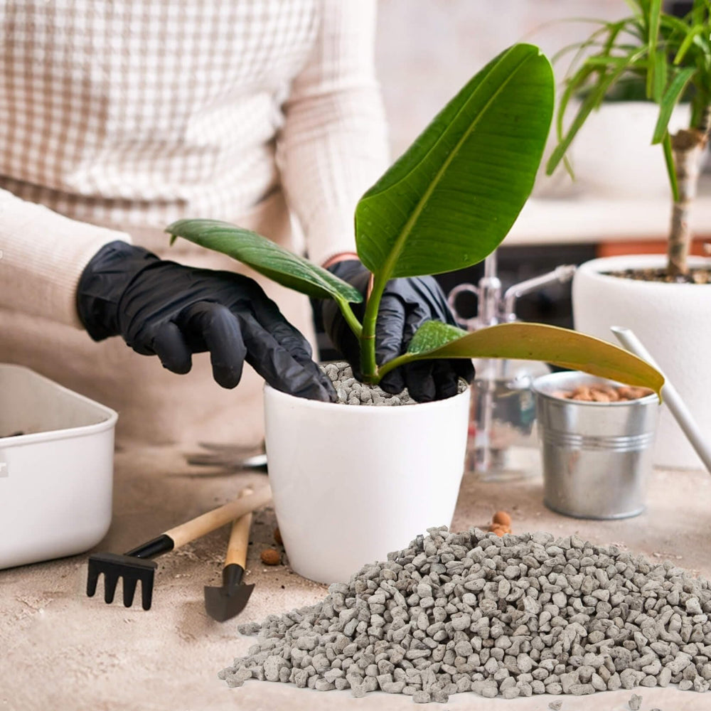 Sukh Horticultural Pumice 900g showing granule size