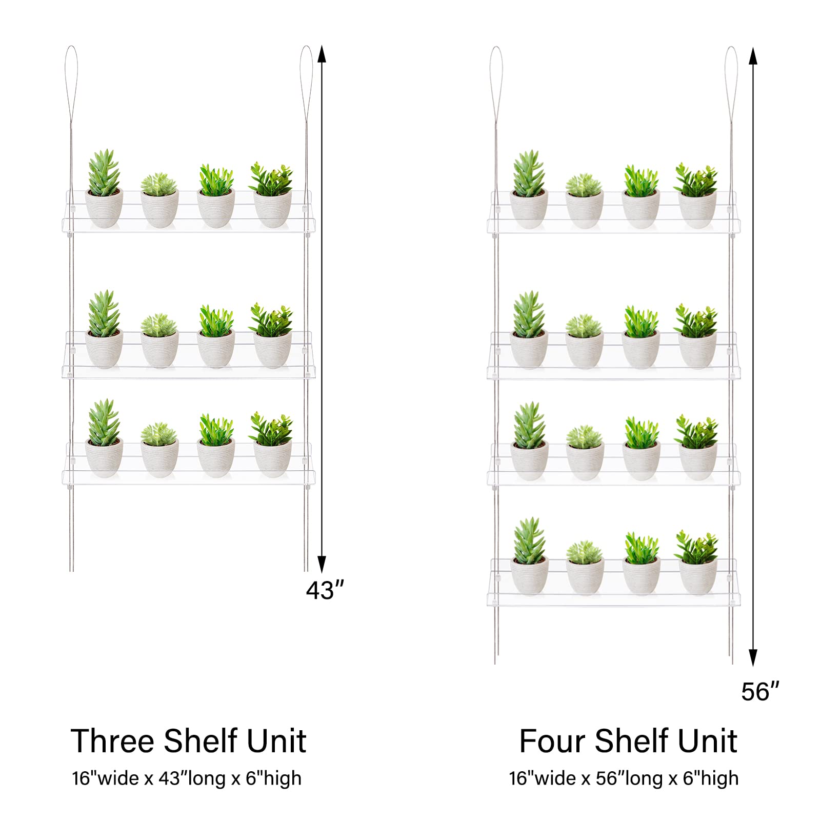 Sumerflos 4 Tier Acrylic Window Shelves displaying herbs