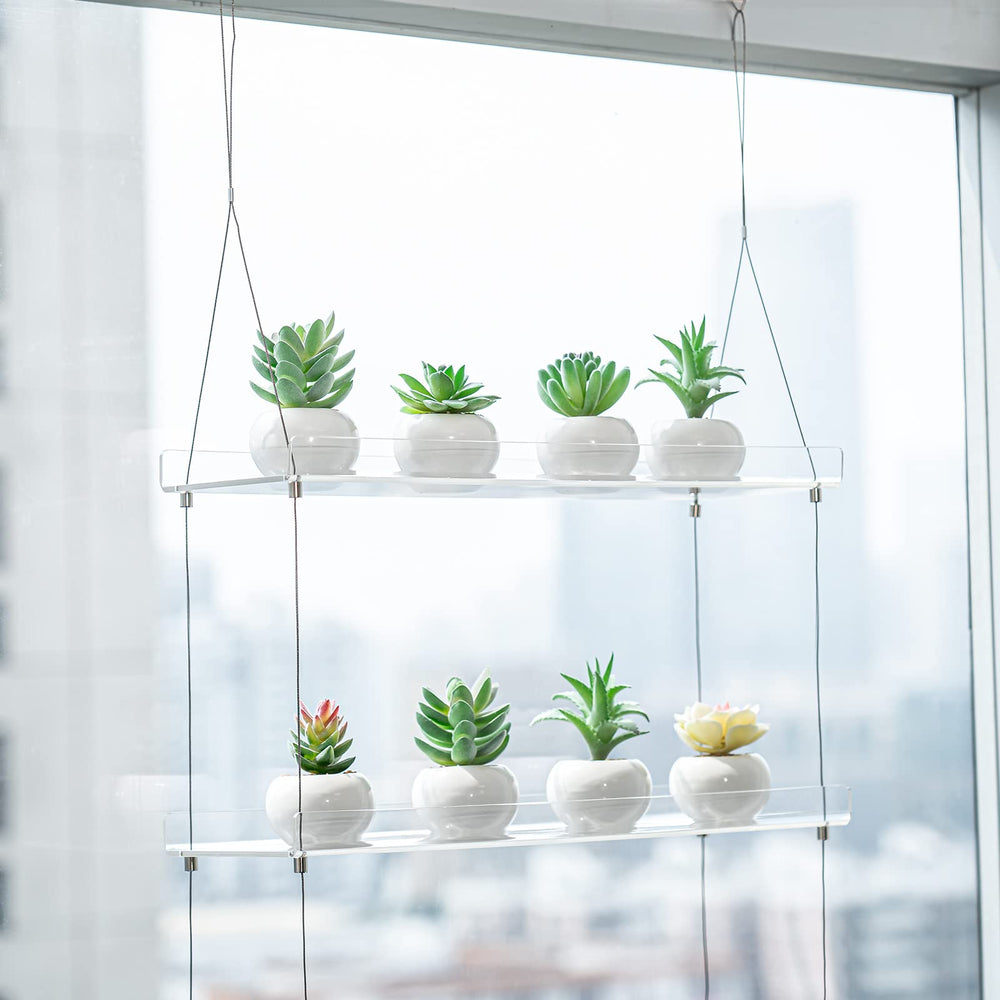 Sumerflos acrylic window boxes displaying herbs