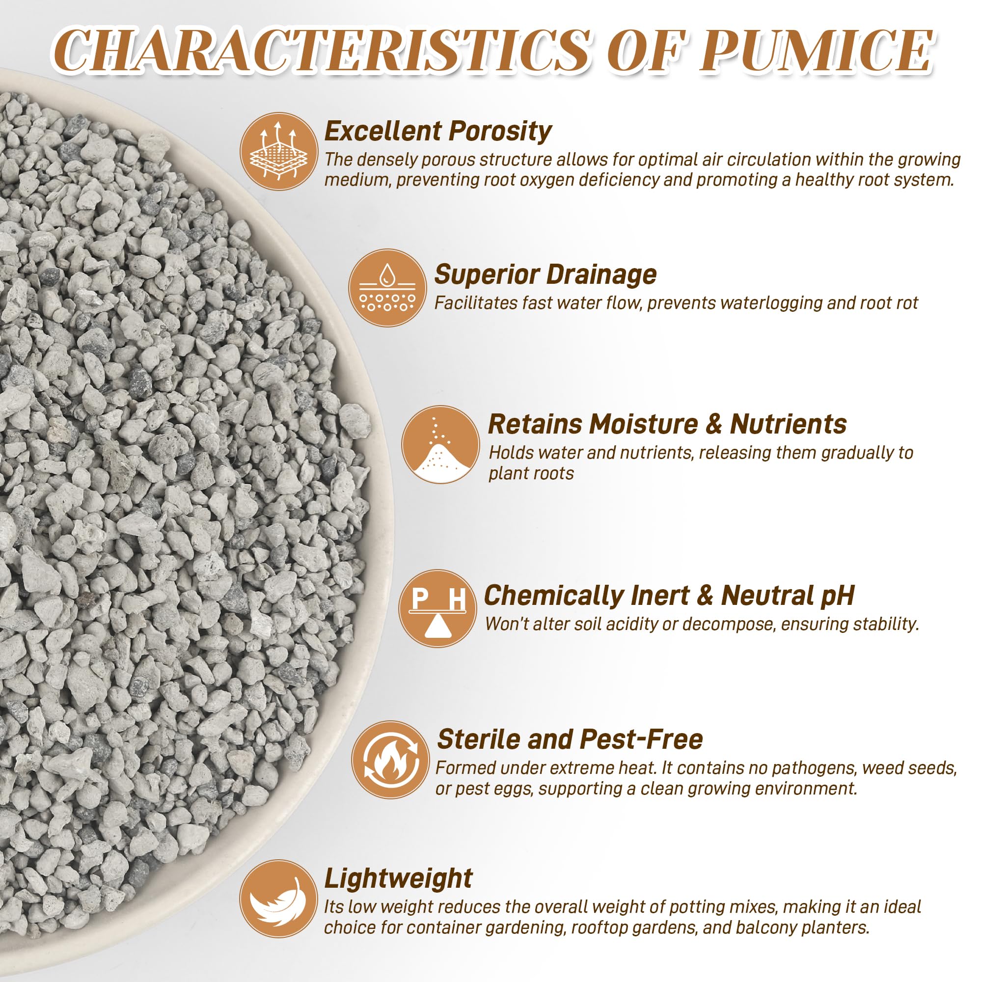 Sumloty Pumice for plants used in a potted succulent
