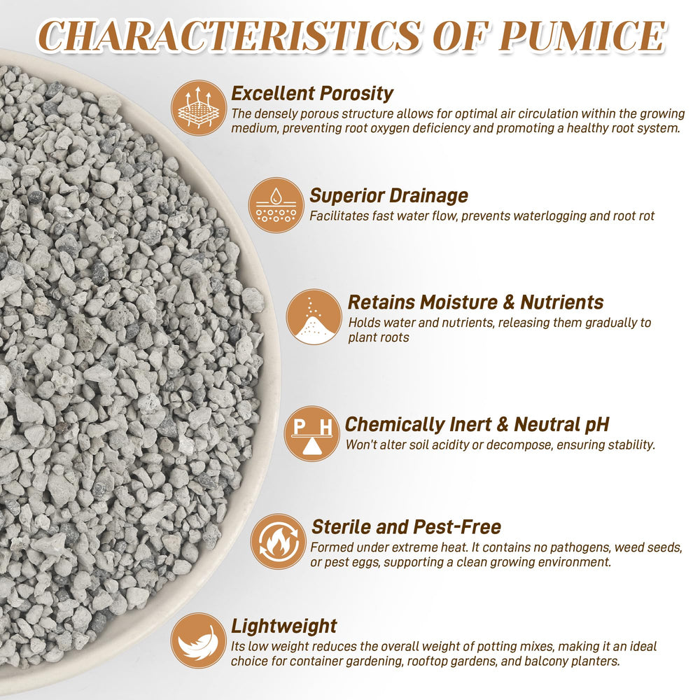 Sumloty Pumice for plants used in a potted succulent