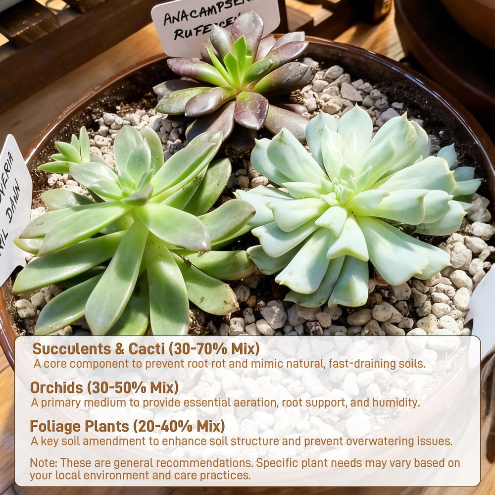 Sumloty Pumice showcased near various indoor plants