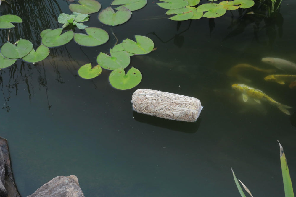 Summit Barley Straw Bale used in a fish tank