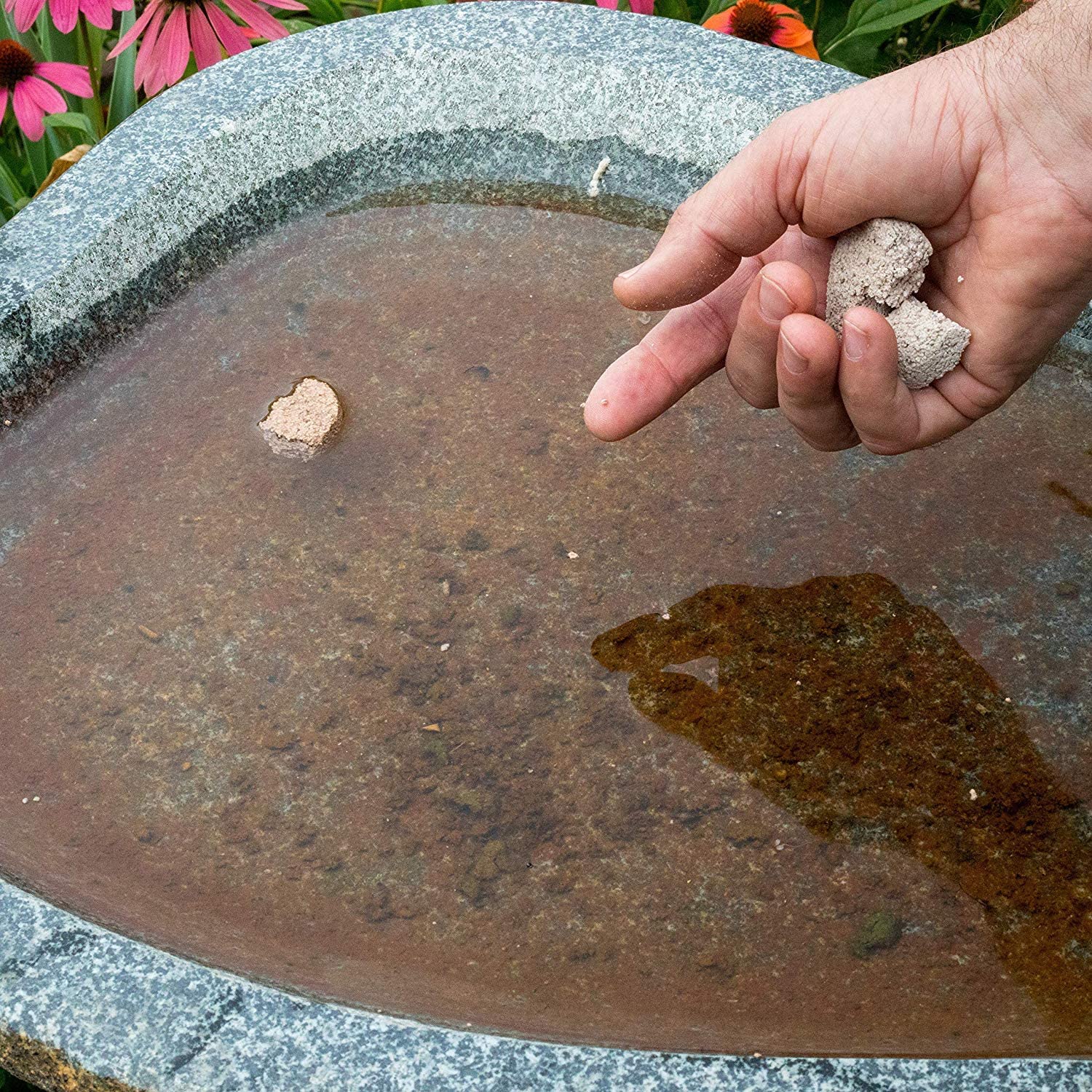 Summit Mosquito Dunk being placed in a flower pot