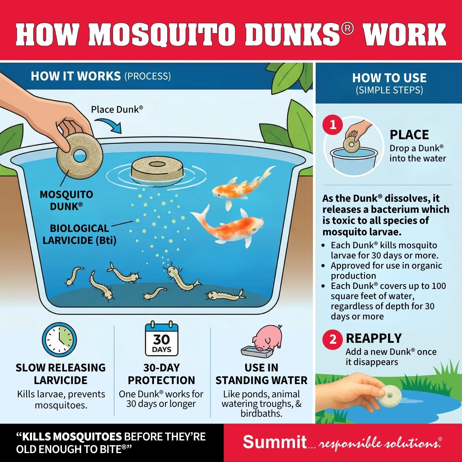 Summit Mosquito Dunk Chunks being tossed into water