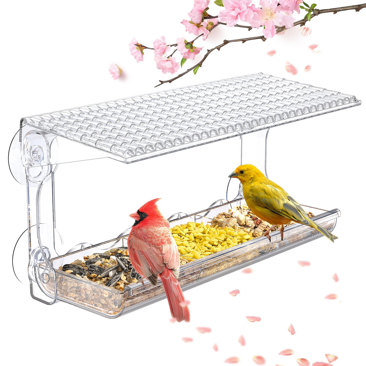 SUNALLY clear window bird feeder front view