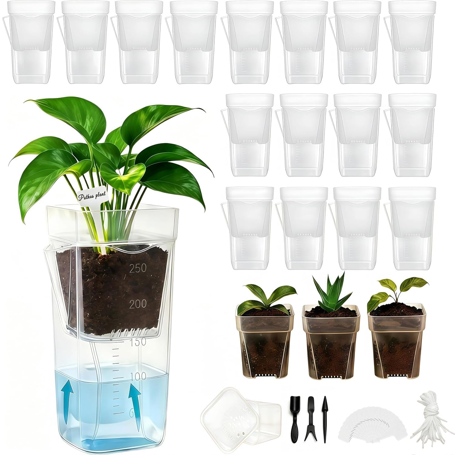 sunanday 16 pack self-watering pots clear front view