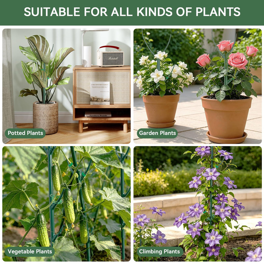 Sunanday plant stakes displayed with a variety of climbing plants