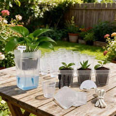 sunanday self-watering pot with fine cotton wick
