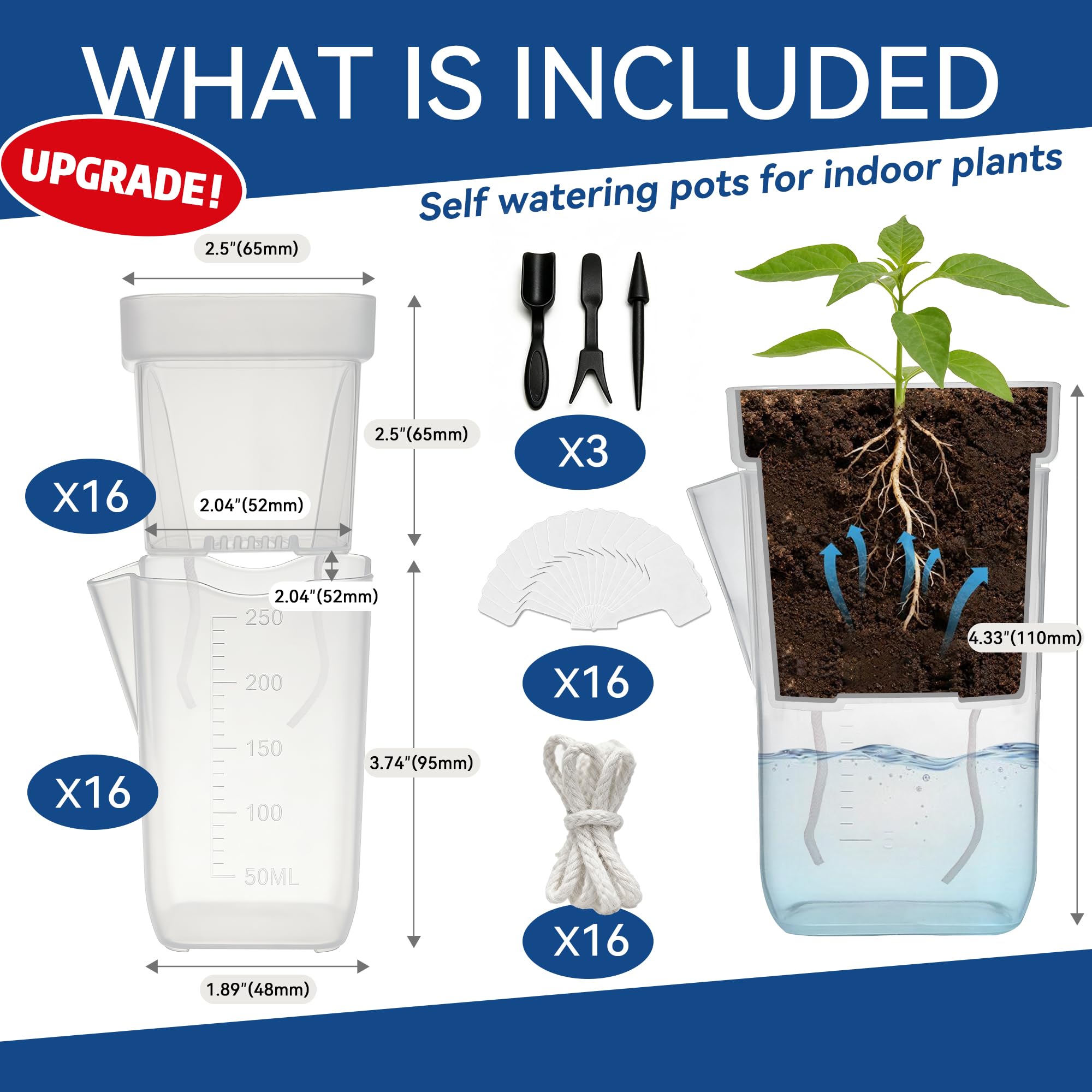 sunanday self-watering pots showing inner cup and outer pot