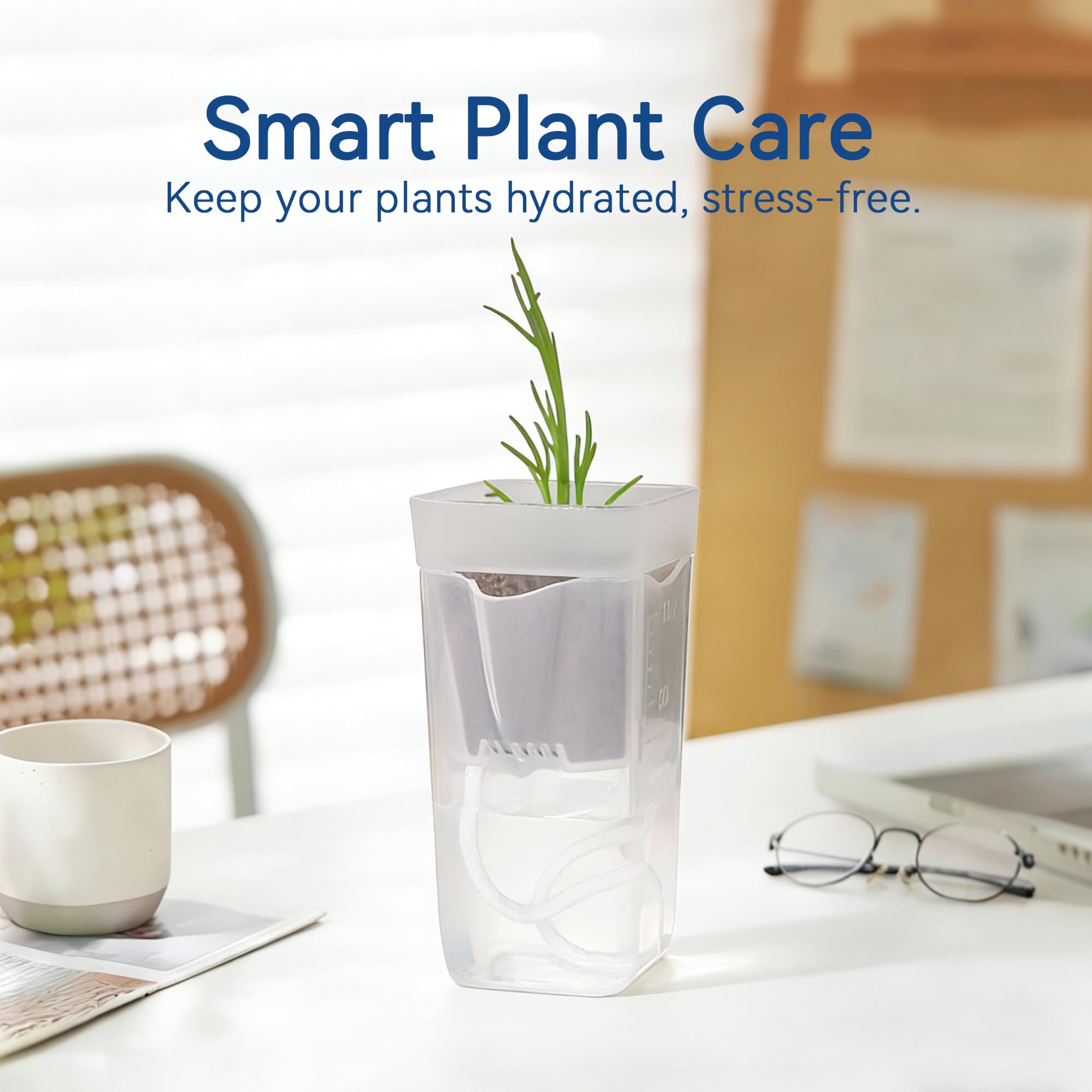 sunanday self watering pots with small plants