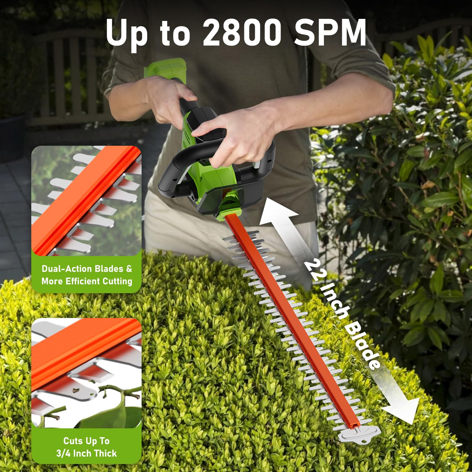 Sunchers hedge trimmer power indicator light detail