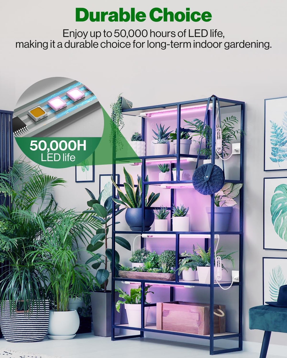 Sunco LED Grow Light showing full spectrum light