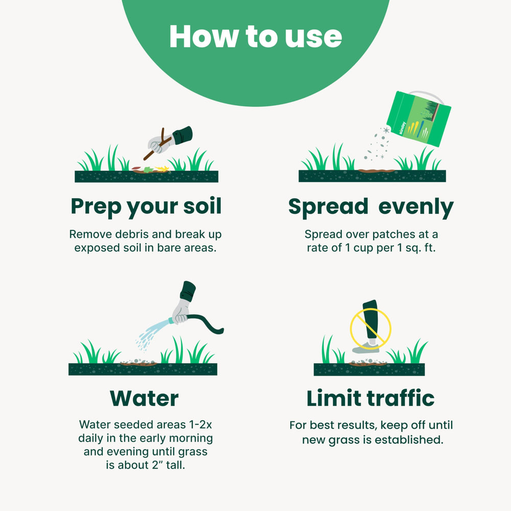 SUNDAY Bare Repair Grass Seed detailed product features