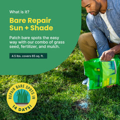SUNDAY Bare Repair Grass Seed package side view